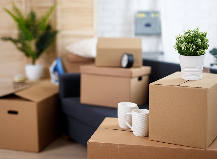 jak-zorganizować-przeprowadzkę-praktyczny-poradnik-murapol