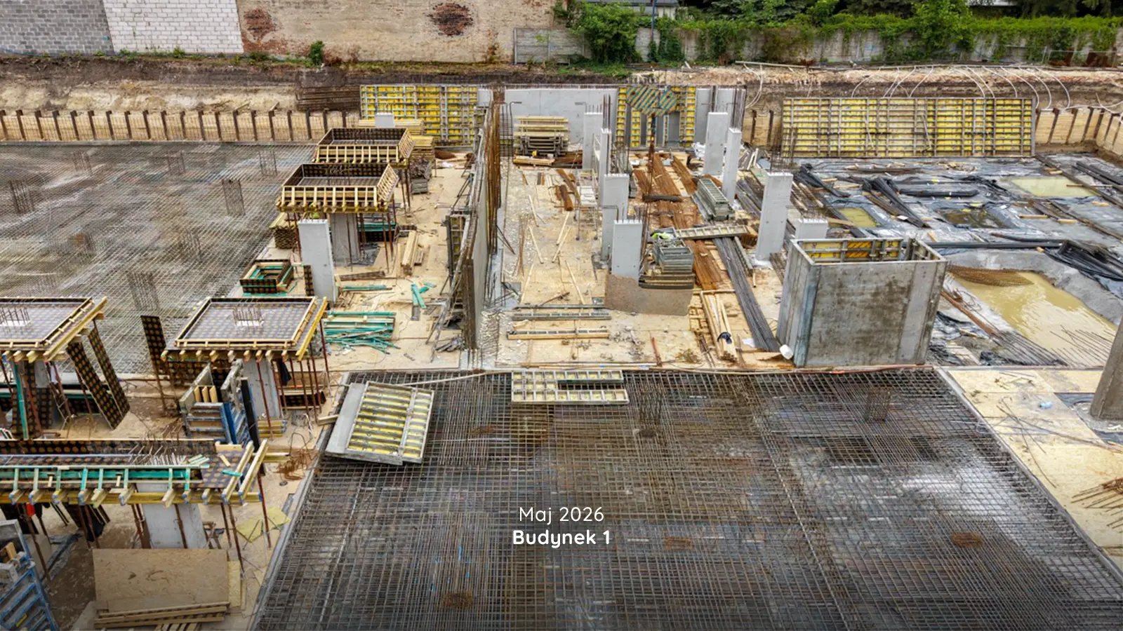 bud 1 (5)